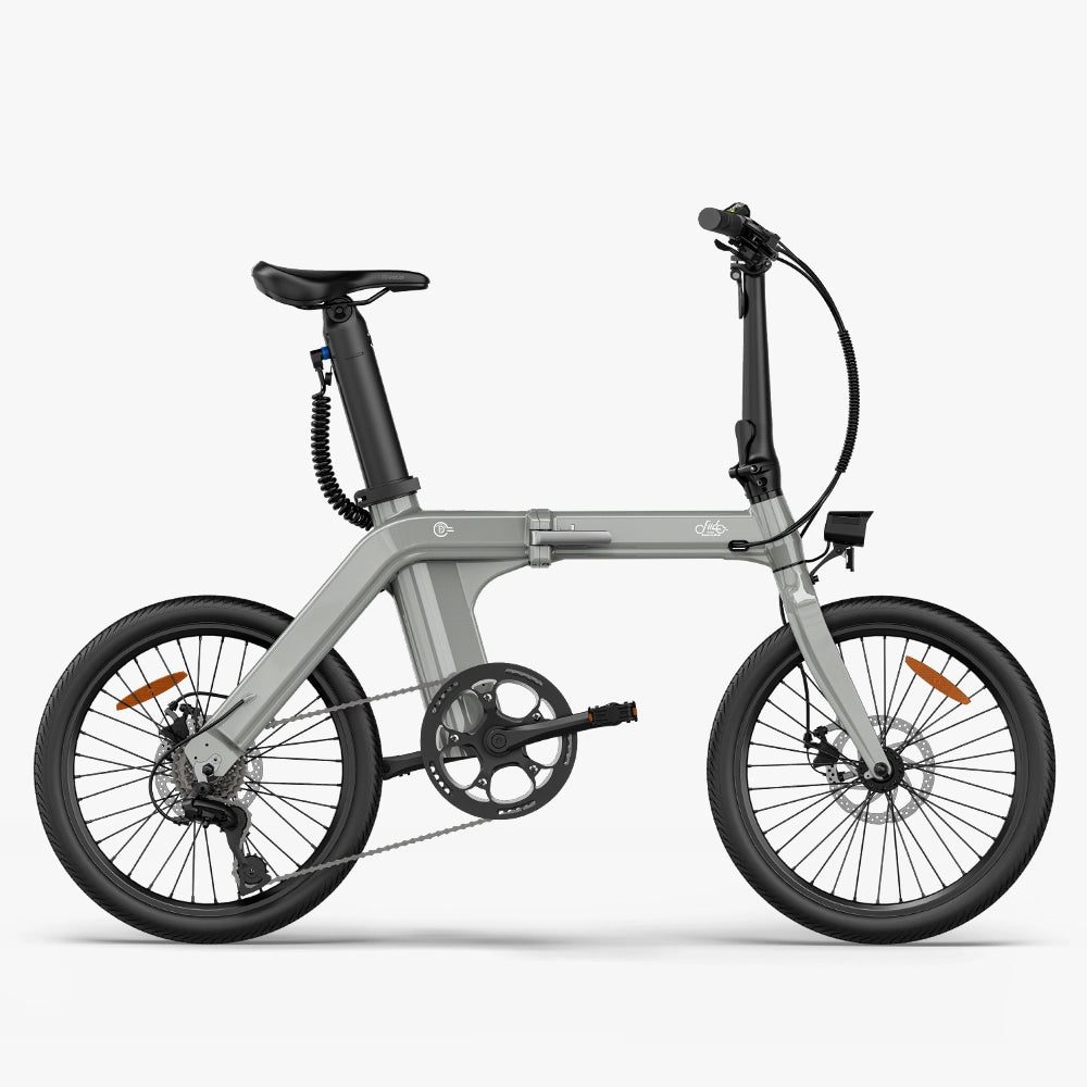 Fiido D11 vouw-e-bike