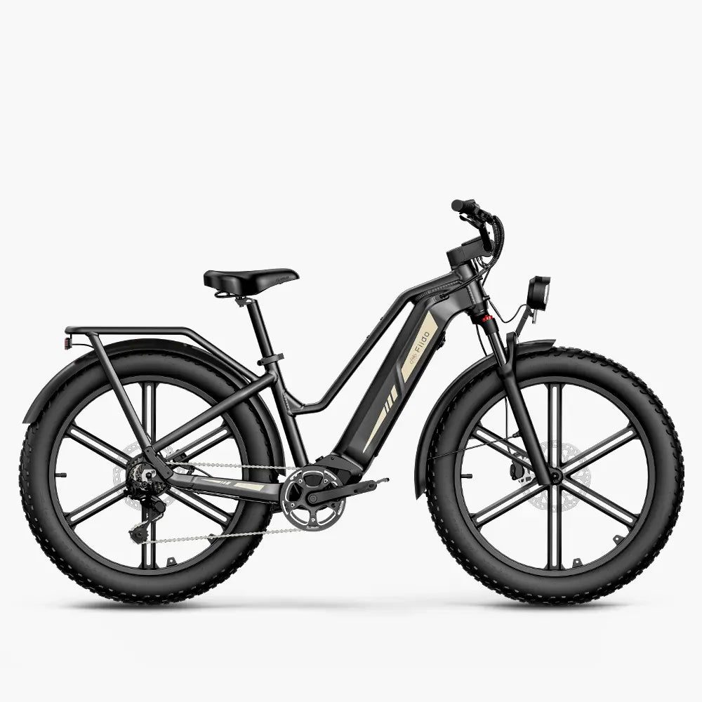 Fiido Titan fat-e-bike